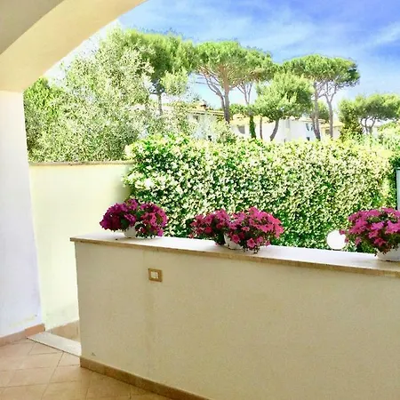 Marbella Holiday home *